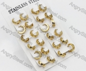 Price for 12 pairs Steel Earrings KJE101-0077