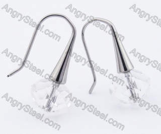 Stainless Steel Stone Earrings - KJE320001