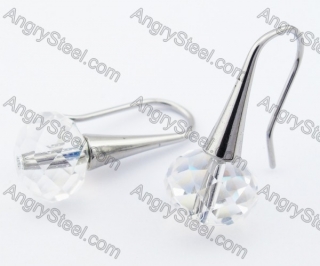 Stainless Steel Stone Earrings - KJE320006