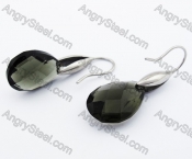 Stainless Steel Black Stone Earrings - KJE320012