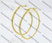 Stainless Steel Earring KJE050993