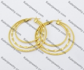 Stainless Steel Earring KJE051006