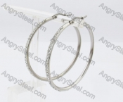 Stainless Steel Stone Earring KJE320272