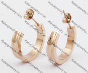 Stainless Steel Cutting Earring KJE051149