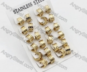 Price for 12 pairs Steel Earrings KJE101-0005