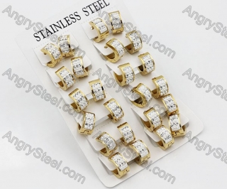 Price for 12 pairs Steel Earrings KJE101-0008