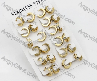 Price for 12 pairs Steel Earrings KJE101-0018