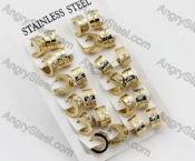 Price for 12 pairs Steel Earrings KJE101-0039