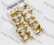 Price for 12 pairs Steel Earrings KJE101-0043