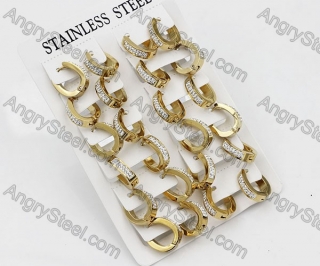 Price for 12 pairs Steel Earrings KJE101-0046