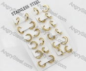 Price for 12 pairs Steel Earrings KJE101-0049