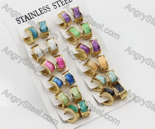 Price for 12 pairs Steel Earrings KJE101-0064