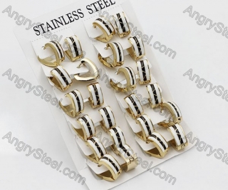 Price for 12 pairs Steel Earrings KJE101-0071