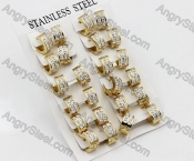 Price for 12 pairs Steel Earrings KJE101-0074